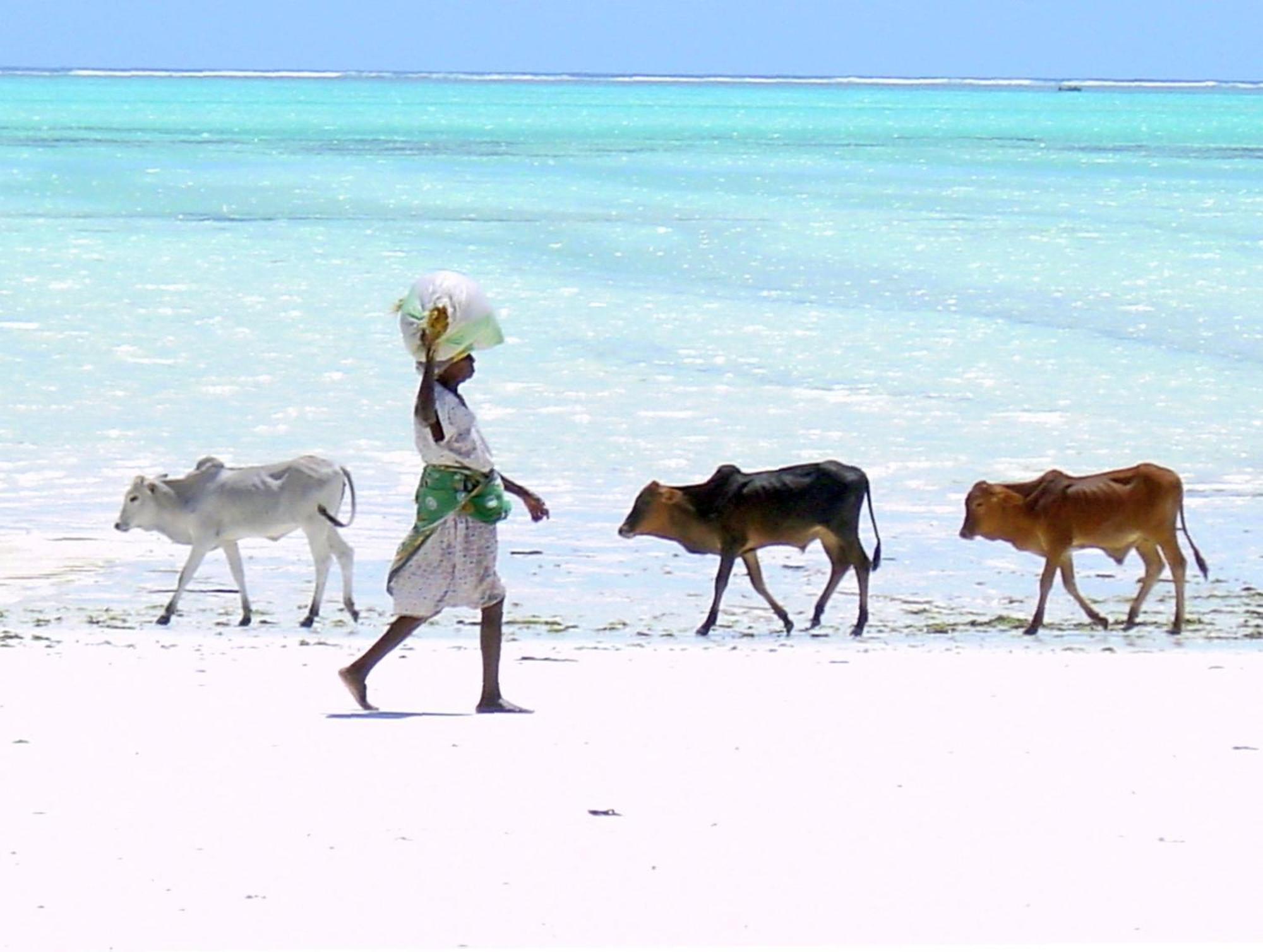 Villa Bahati Zanzibar Jambiani  Esterno foto